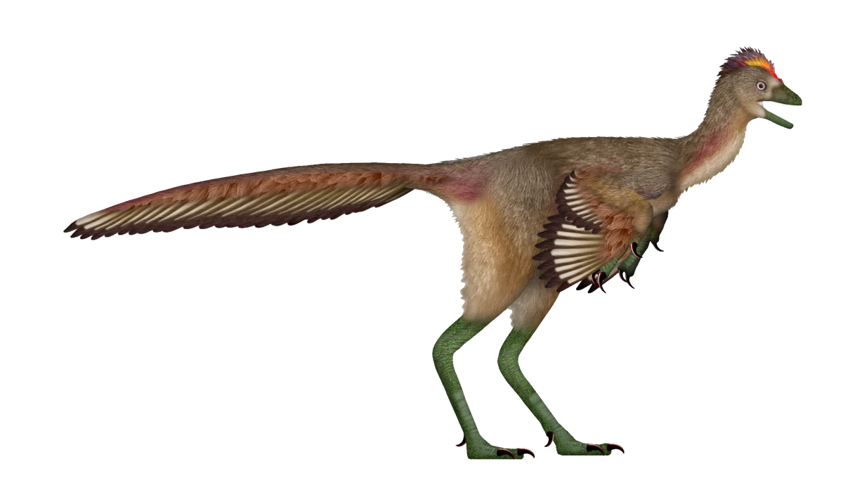 Ilustración paleontológica de Fujianvenator