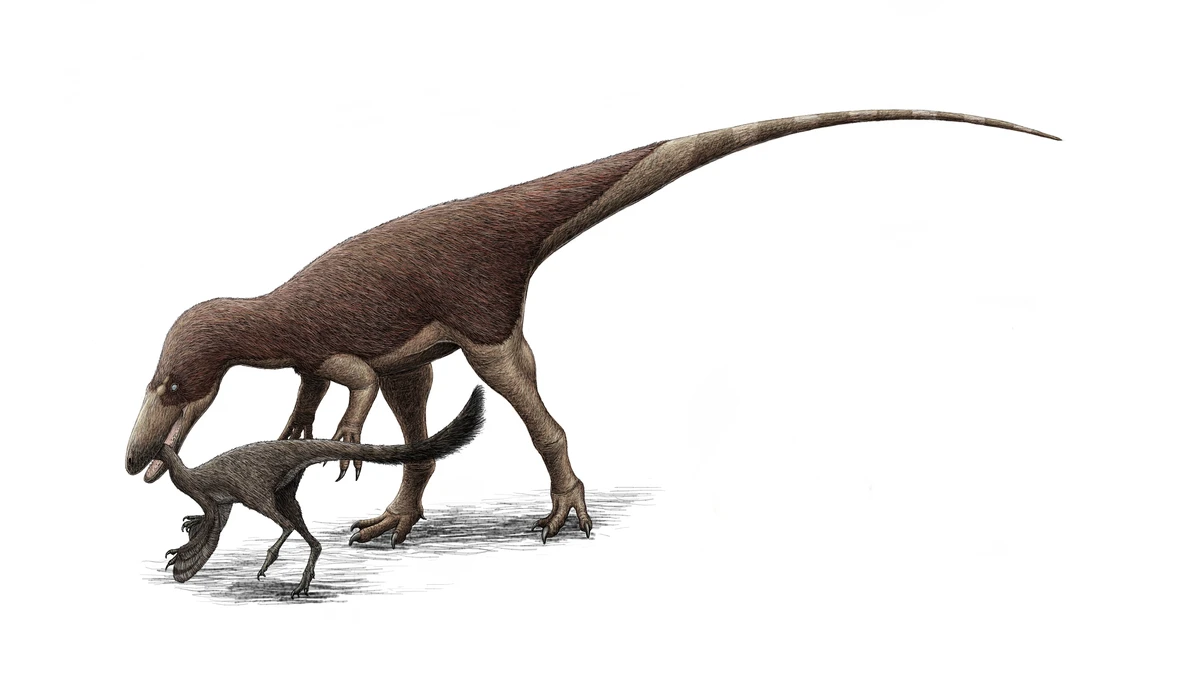 Ilustración paleontológica de Fukuiraptor