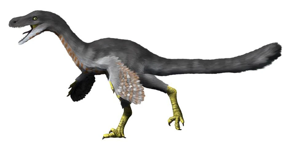 Ilustración paleontológica de Fukuivenator