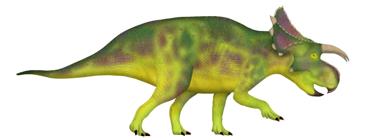 Ilustración paleontológica de Furcatoceratops