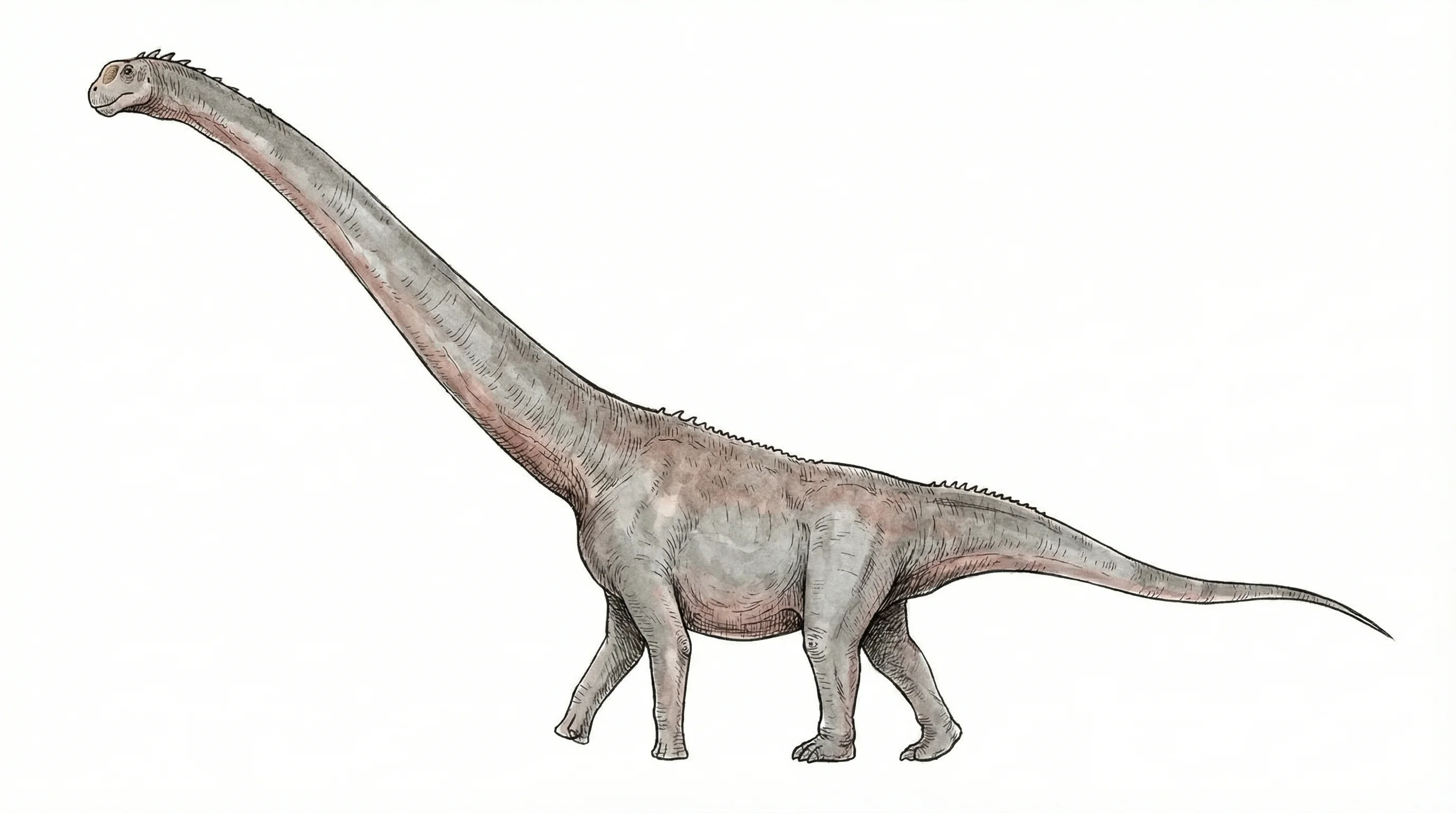 Ilustración paleontológica de Fushanosaurus