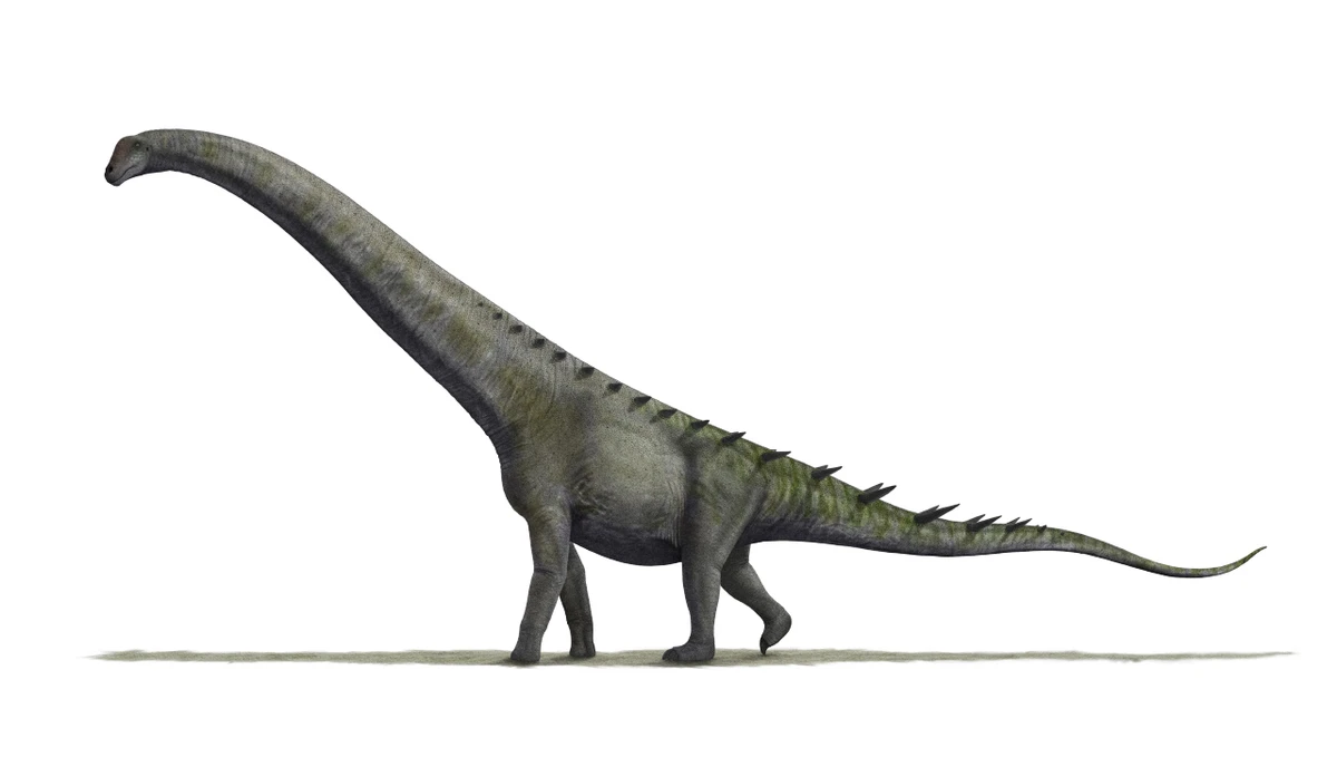 Ilustración paleontológica de Futalognkosaurus