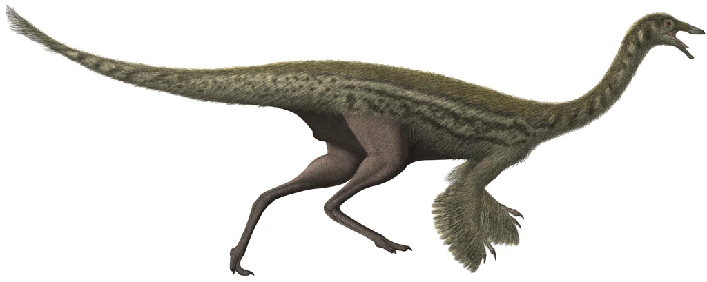 Ilustración paleontológica de Gallimimus