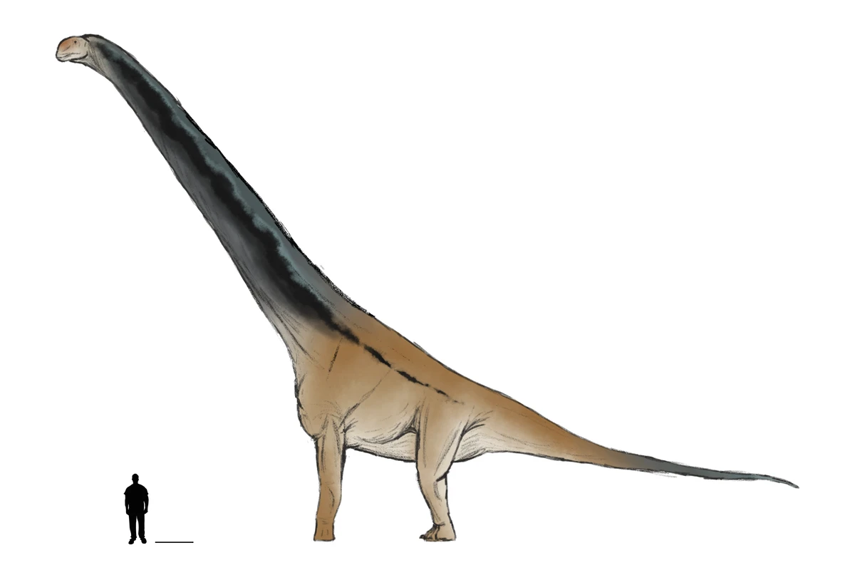 Ilustración paleontológica de Gannansaurus