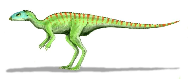 Ilustración paleontológica de Gasparinisaura