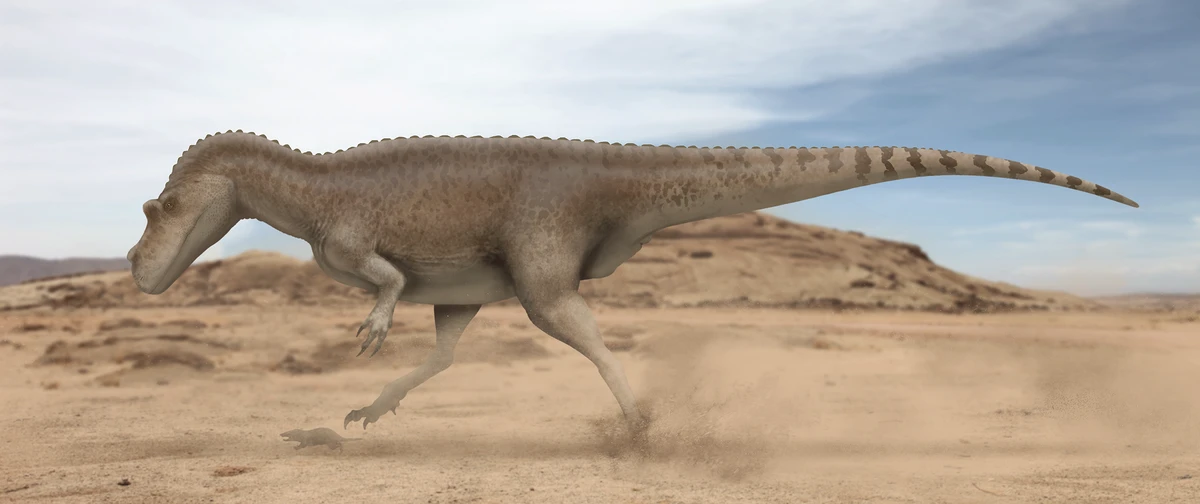 Ilustración paleontológica de Genyodectes