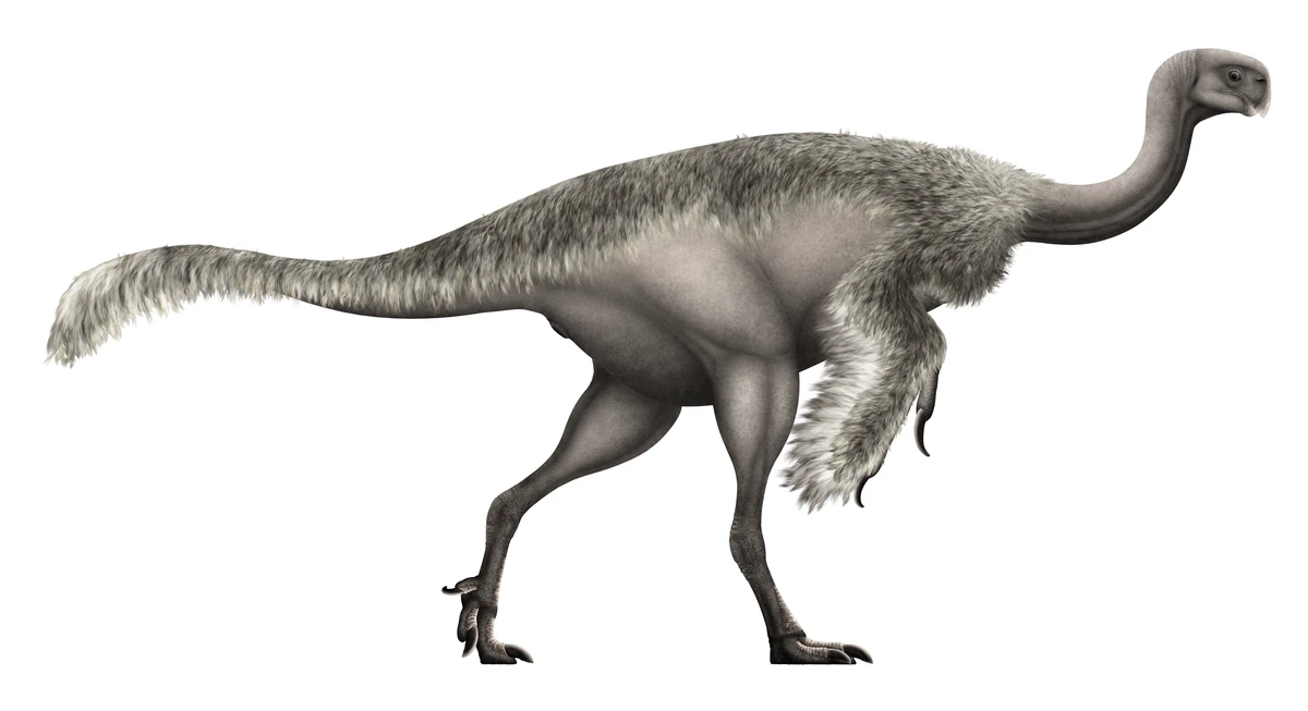 Ilustración paleontológica de Gigantoraptor