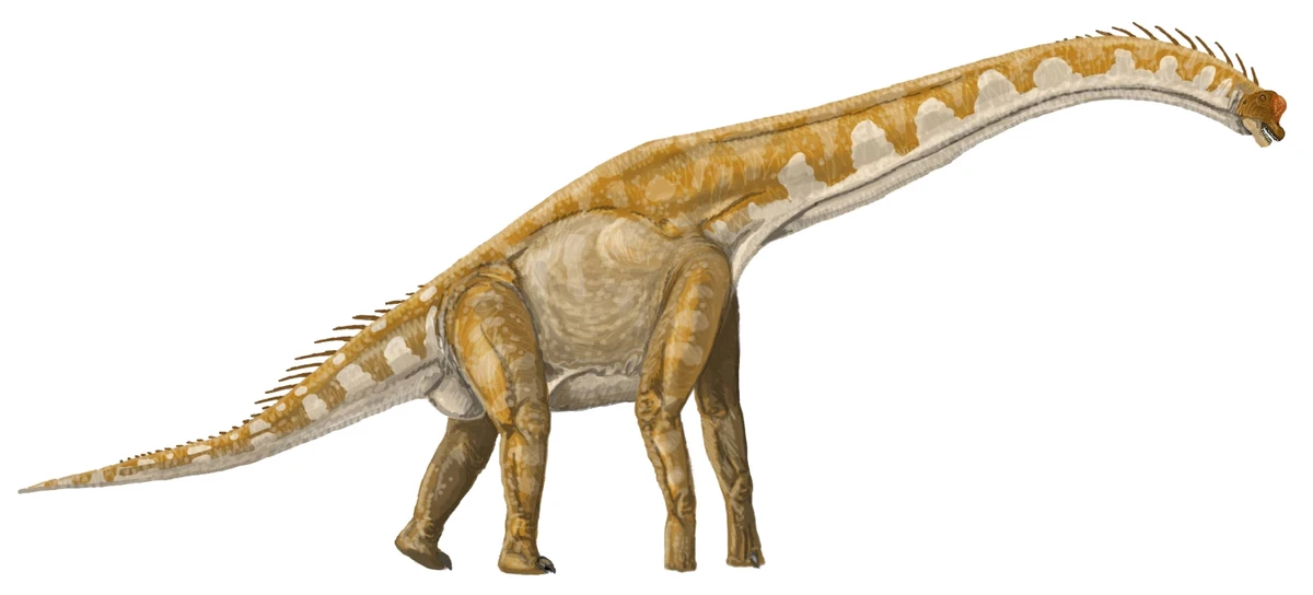 Ilustración paleontológica de Giraffatitan