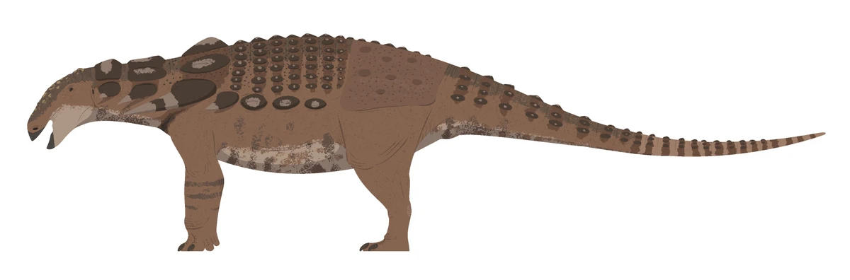 Ilustración paleontológica de Glyptodontopelta