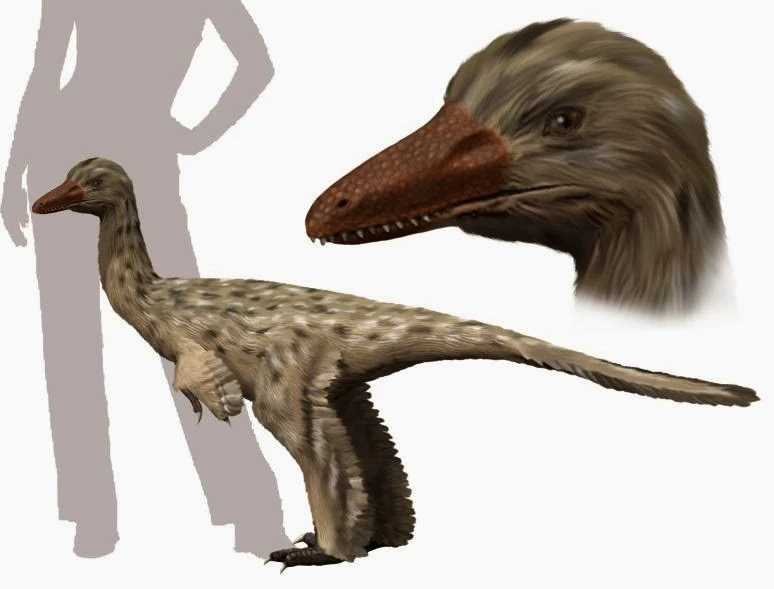Ilustración paleontológica de Gobivenator