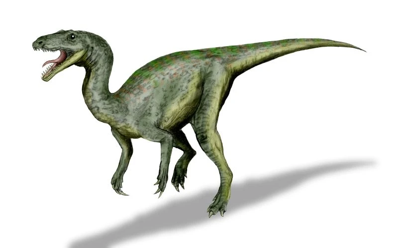 Ilustración paleontológica de Gojirasaurus