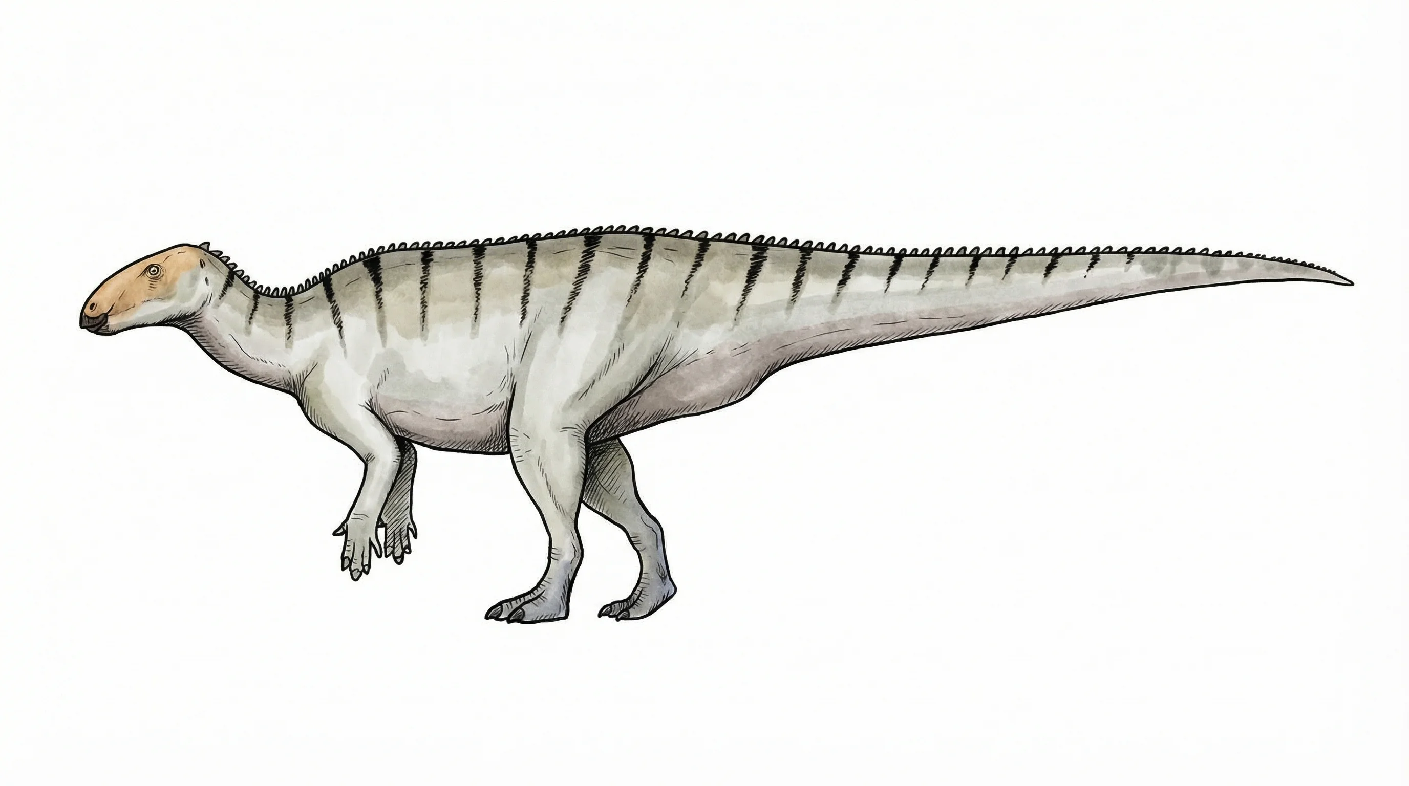 Ilustración paleontológica de Gongpoquansaurus