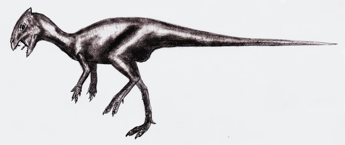 Ilustración paleontológica de Goyocephale