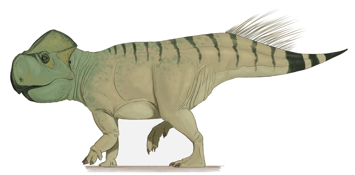 Ilustración paleontológica de Gryphoceratops
