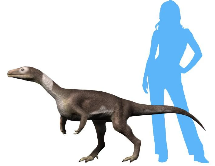 Ilustración paleontológica de Guaibasaurus