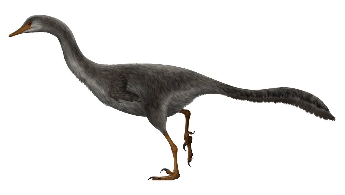 Ilustración paleontológica de Halszkaraptor