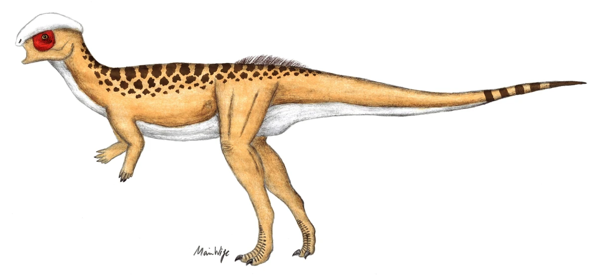 Ilustración paleontológica de Hanssuesia