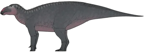 Ilustración paleontológica de Haolong