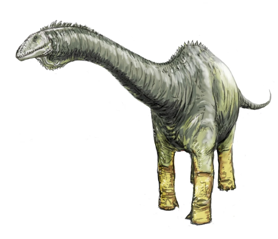 Ilustración paleontológica de Haplocanthosaurus