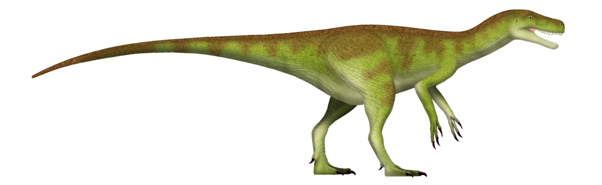 Ilustración paleontológica de Herrerasaurus