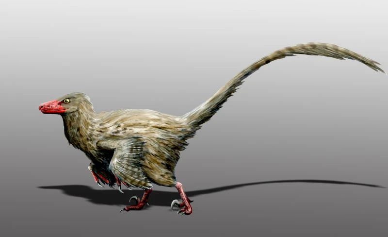Ilustración paleontológica de Hesperonychus