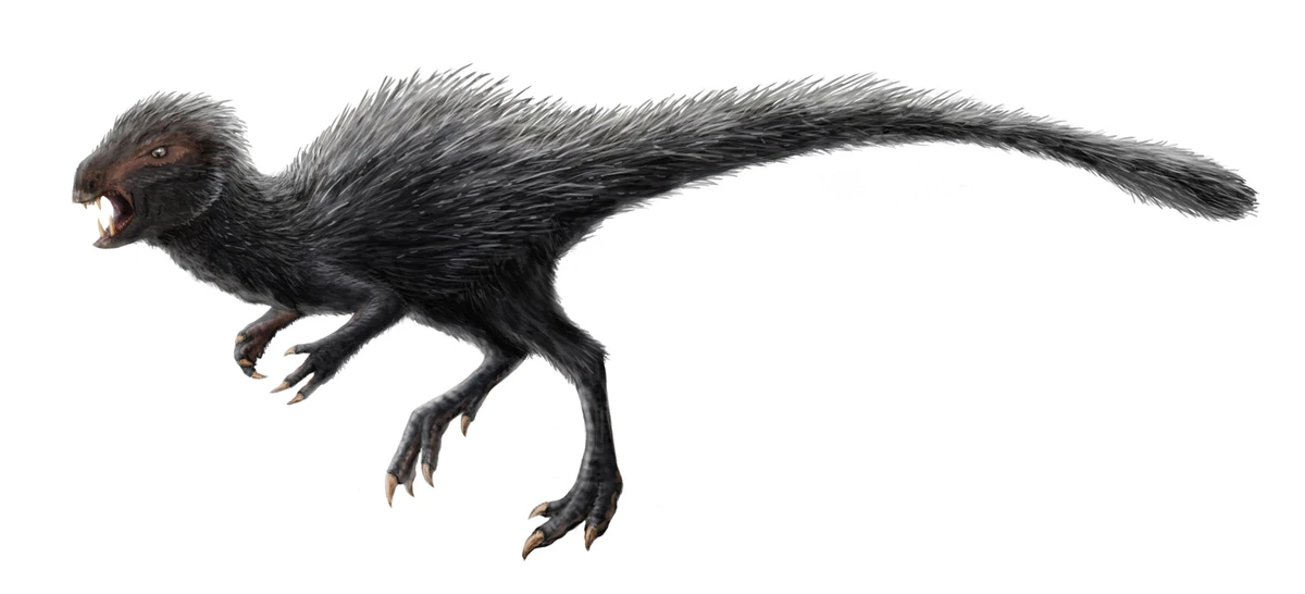 Ilustración paleontológica de Heterodontosaurus