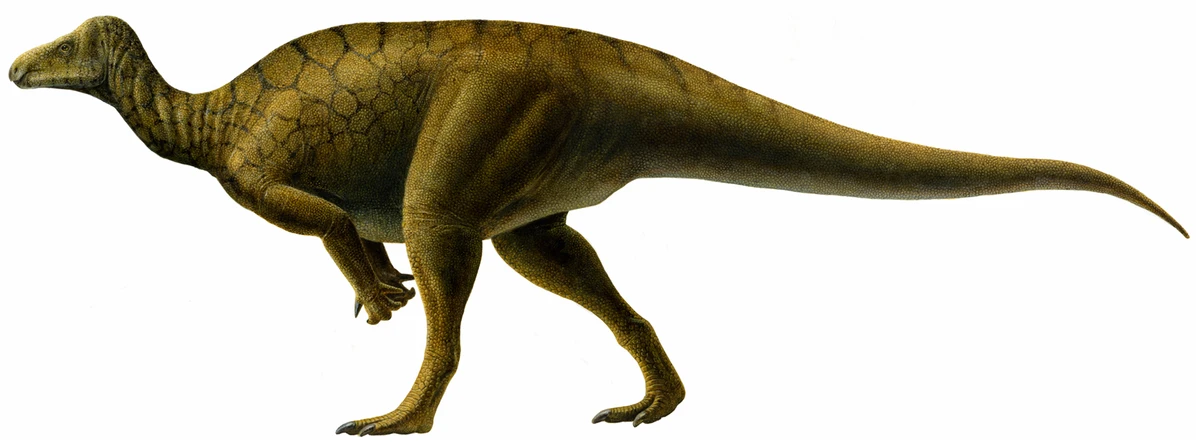 Ilustración paleontológica de Hippodraco