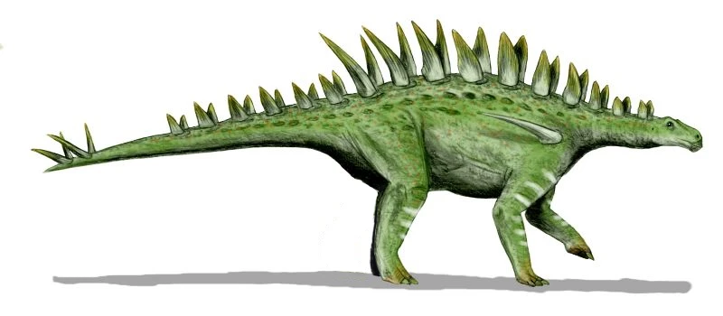 Ilustración paleontológica de Huayangosaurus