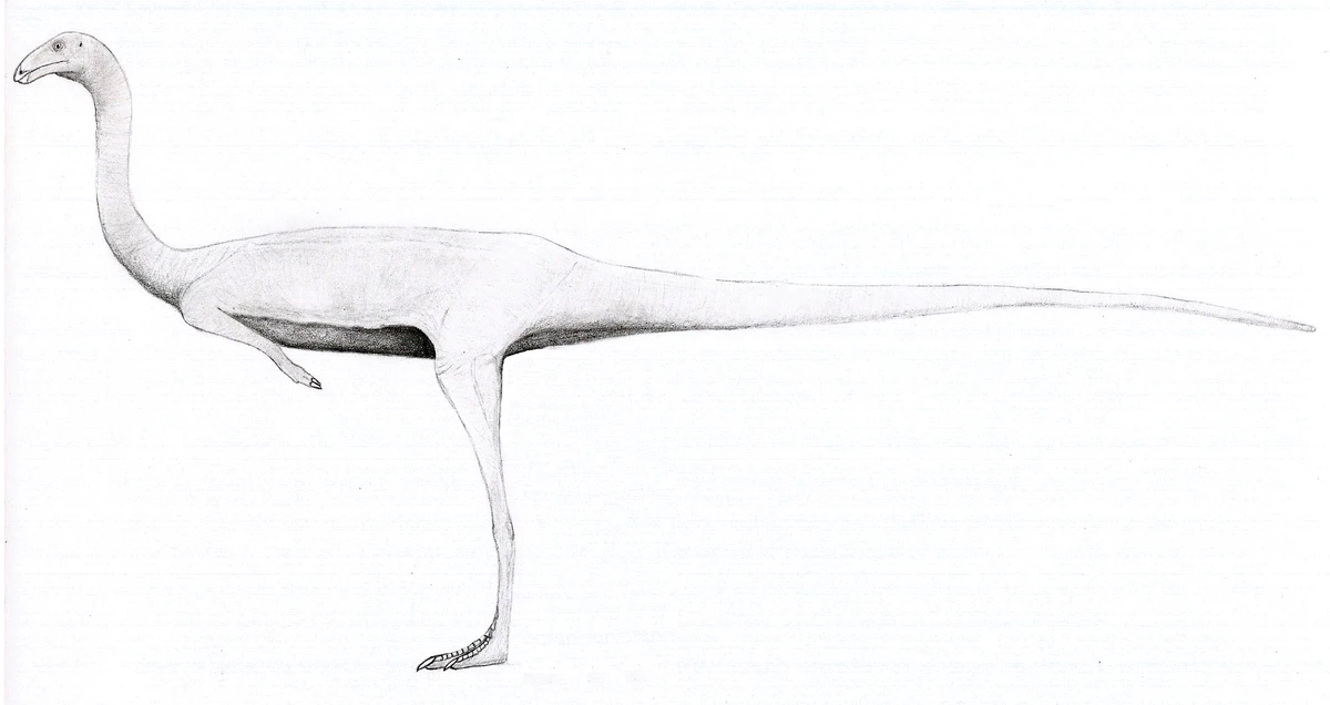 Ilustración paleontológica de Huinculsaurus