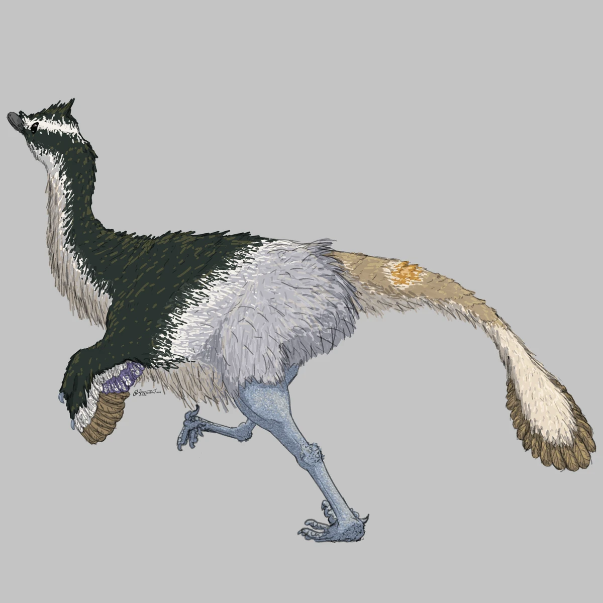 Ilustración paleontológica de Hulsanpes
