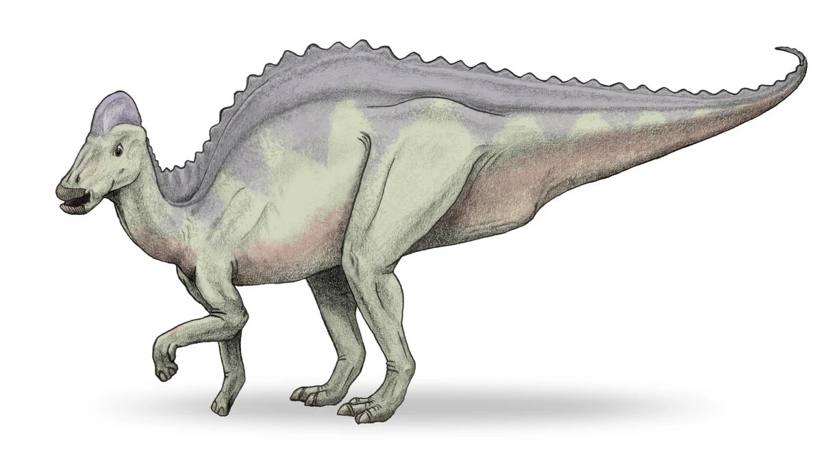 Ilustración paleontológica de Hypacrosaurus