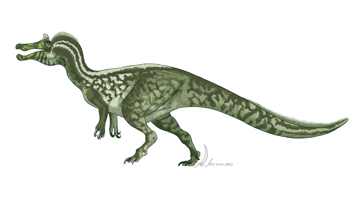 Ilustración paleontológica de Iberospinus
