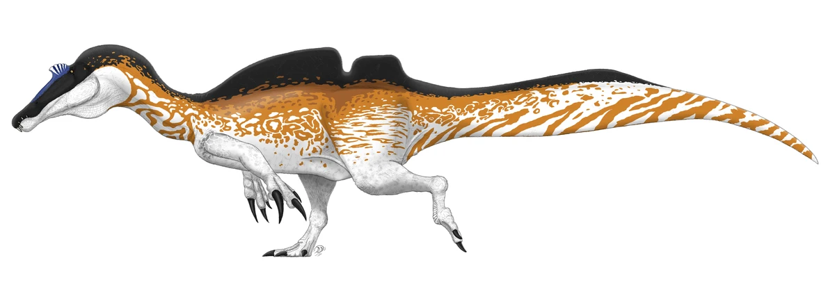 Ilustración paleontológica de Ichthyovenator