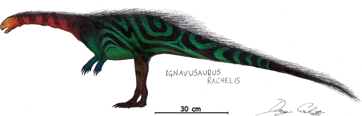 Ilustración paleontológica de Ignavusaurus