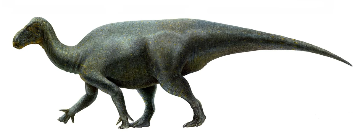 Ilustración paleontológica de Iguanacolossus