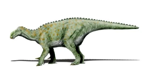 Ilustración paleontológica de Iguanodon