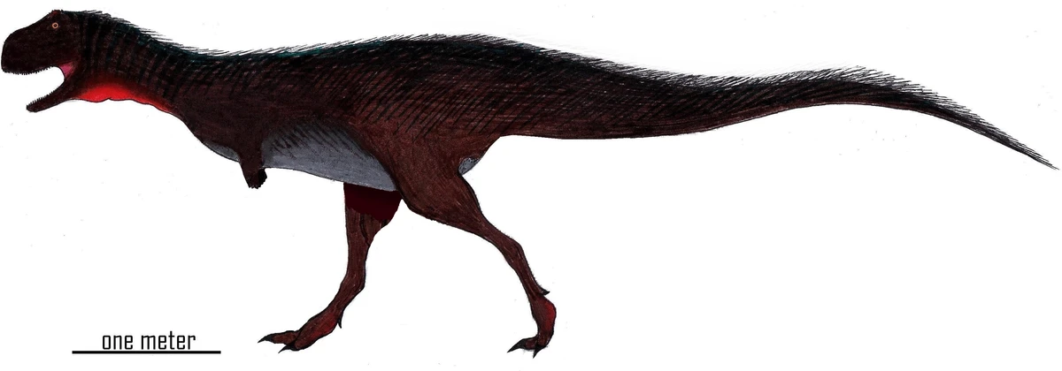 Ilustración paleontológica de Ilokelesia