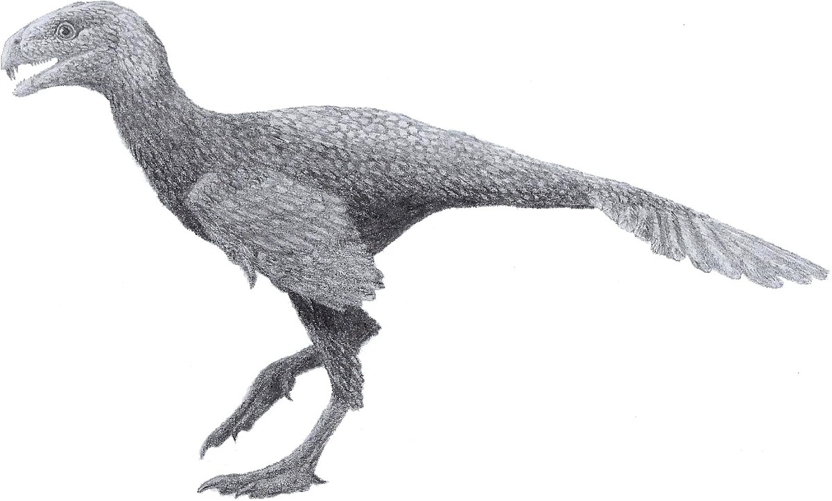 Ilustración paleontológica de Incisivosaurus