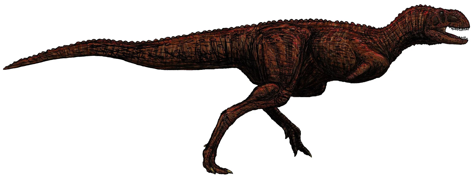Ilustración paleontológica de Indosaurus