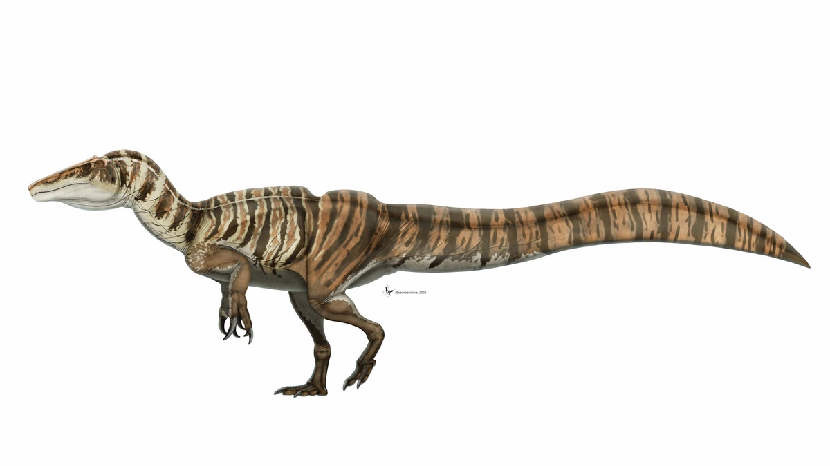 Ilustración paleontológica de Irritator
