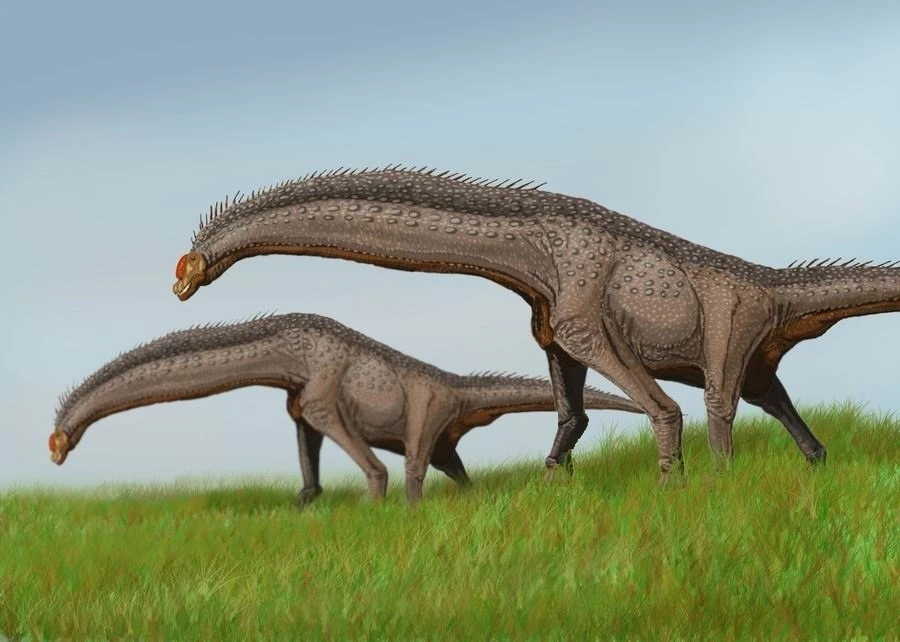 Ilustración paleontológica de Isisaurus