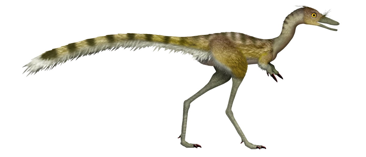 Ilustración paleontológica de Jaculinykus