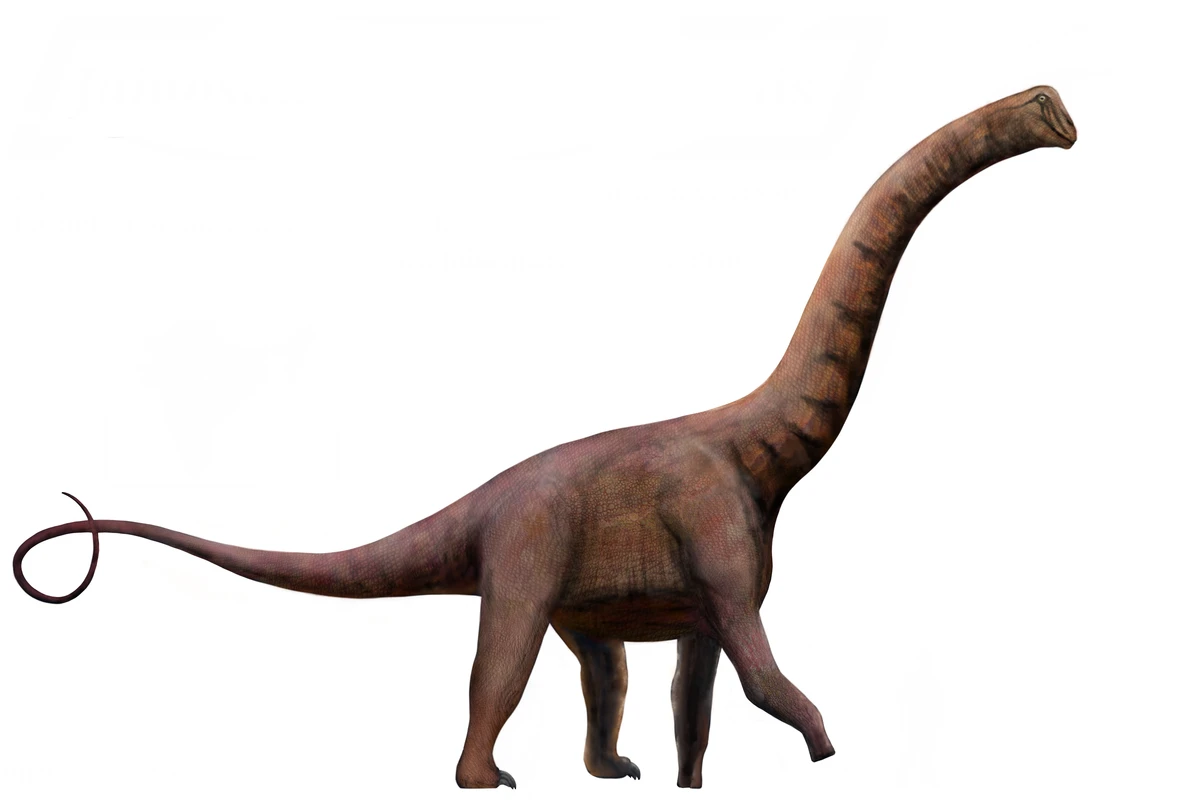 Ilustración paleontológica de Jainosaurus