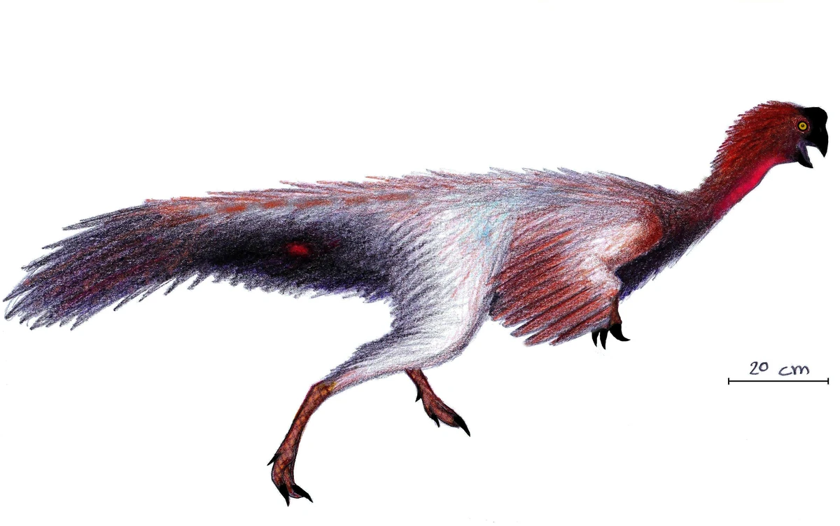 Ilustración paleontológica de Jiangxisaurus