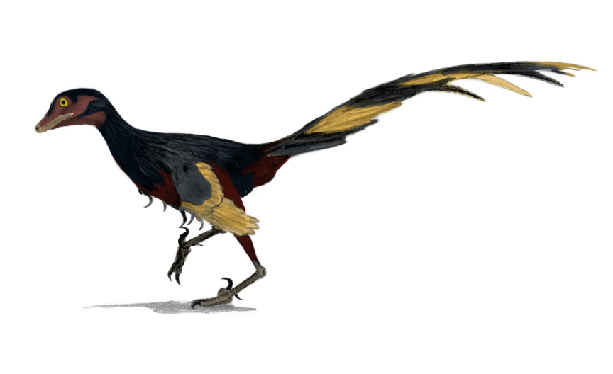 Ilustración paleontológica de Jinfengopteryx