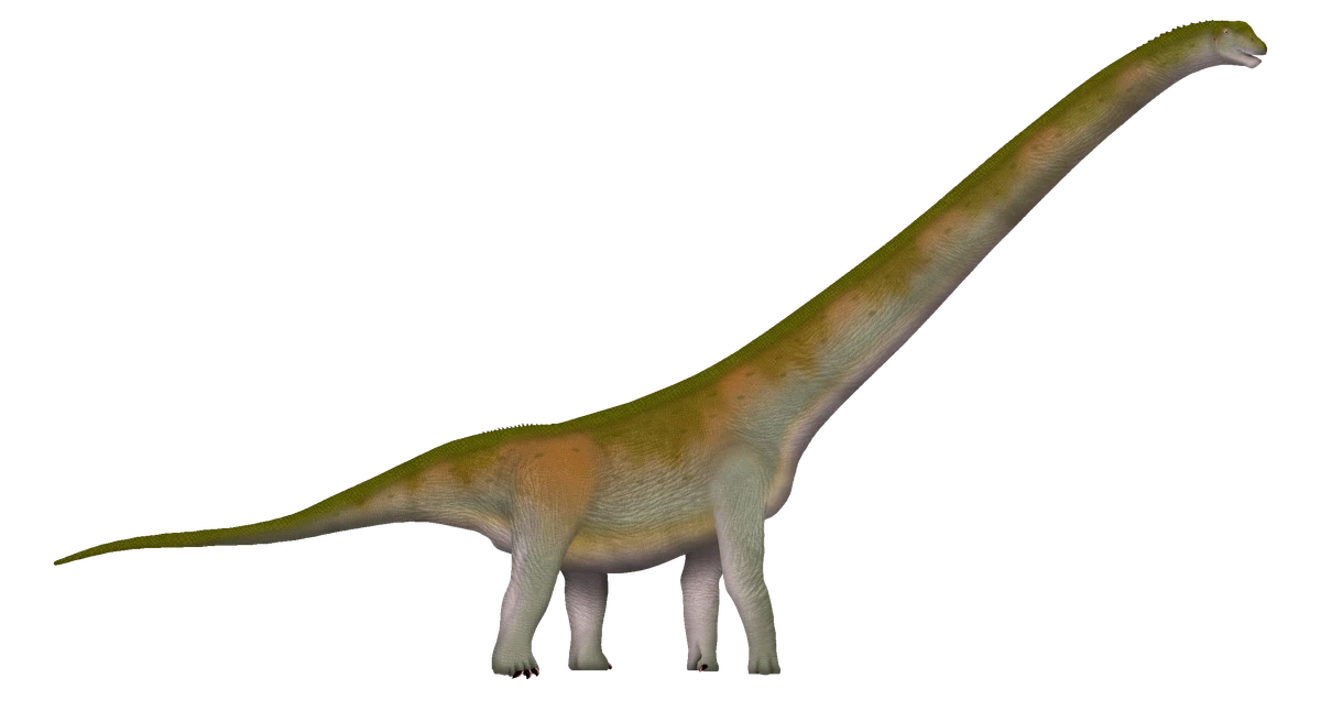 Ilustración paleontológica de Jingiella