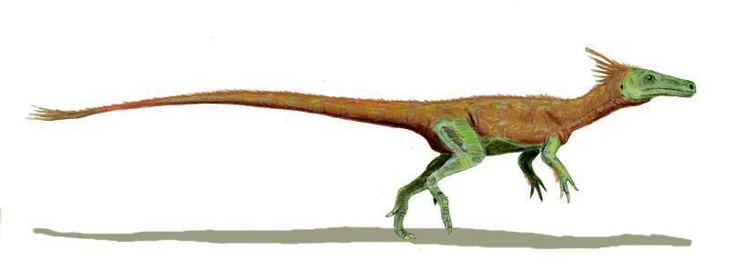 Ilustración paleontológica de Juravenator