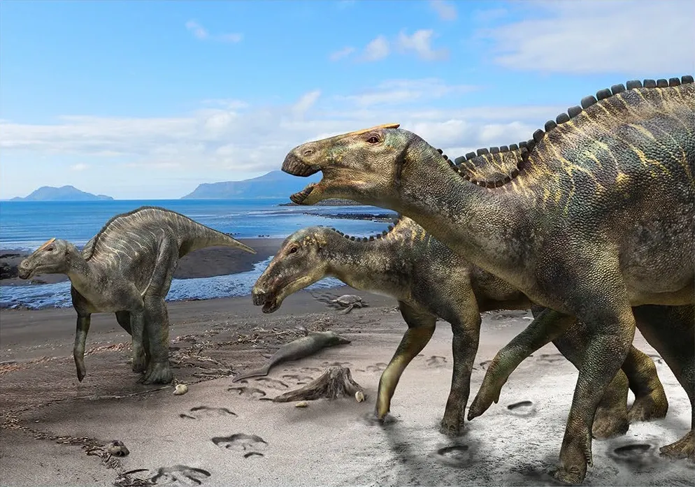Ilustración paleontológica de Kamuysaurus