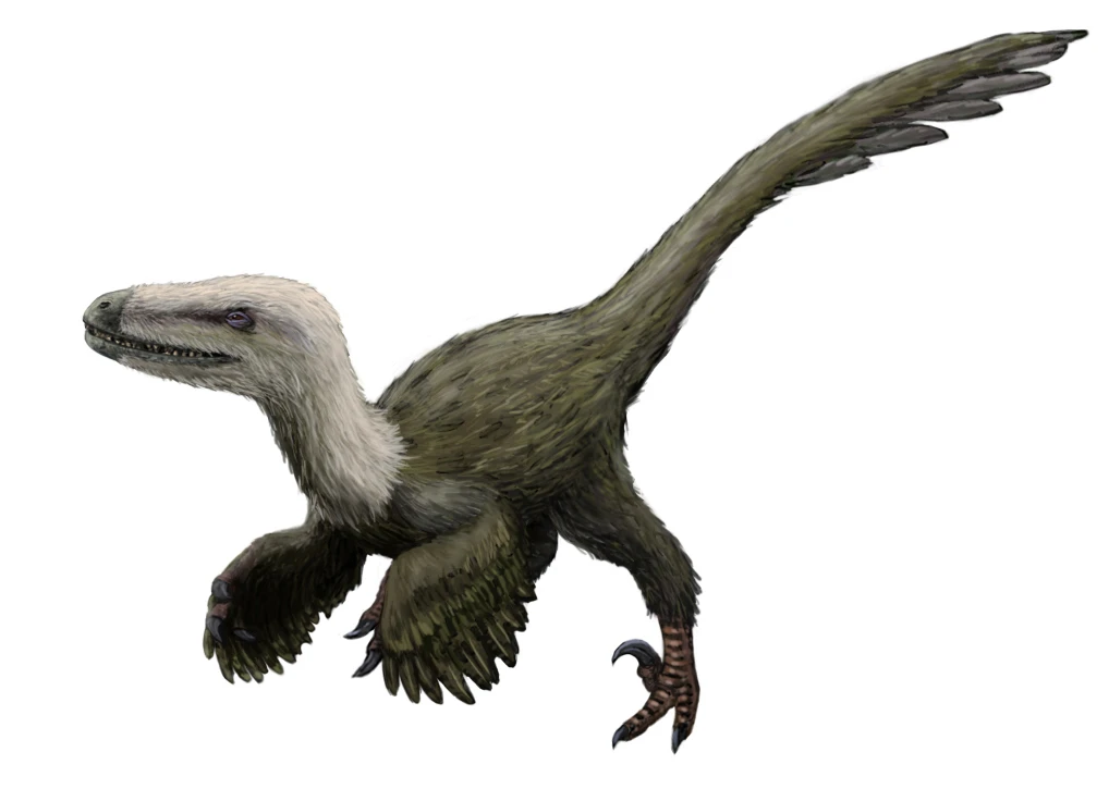 Ilustración paleontológica de Kansaignathus