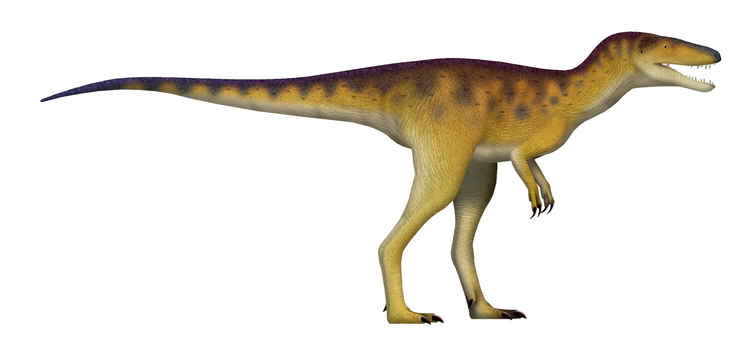 Ilustración paleontológica de Khankhuuluu